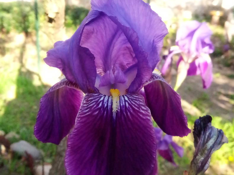 Chambre Chez L'habitant Lézat-sur-Lèze 350966-1