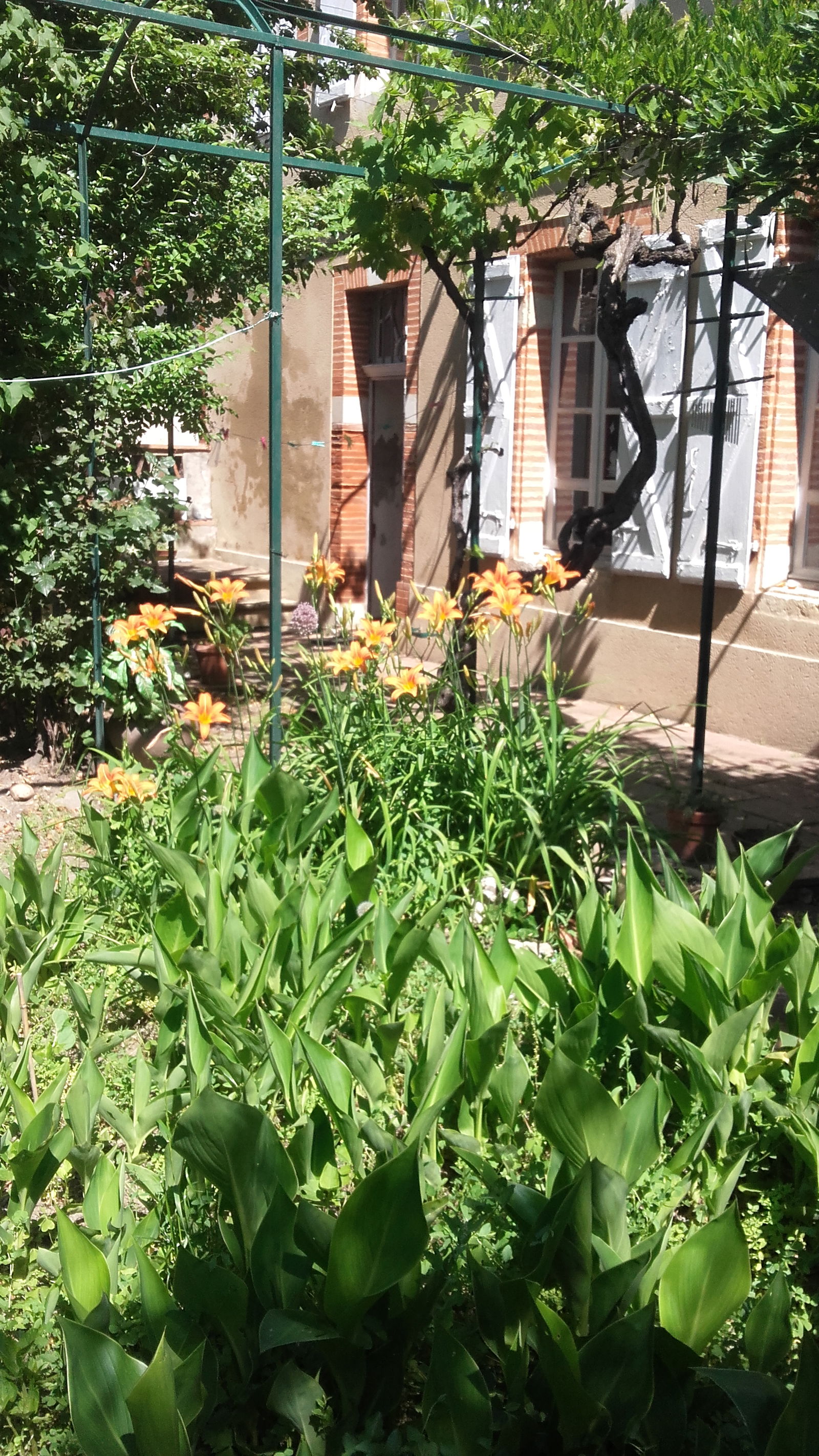 Homestay Lézat-sur-Lèze 350966