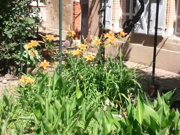 Chambre Chez L'habitant Lézat-Sur-Lèze 350966-6