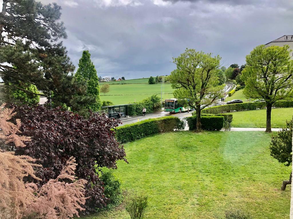 Colocation Morges 256014