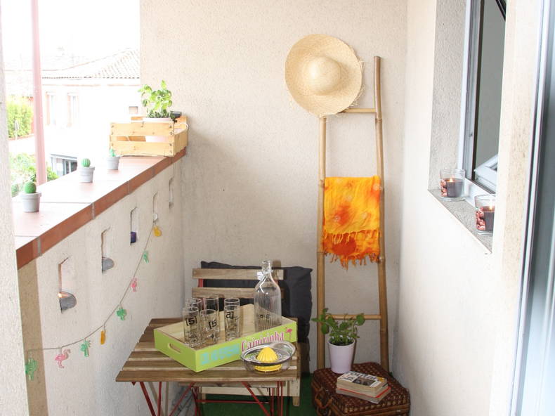 Colocation Toulouse 248871-5