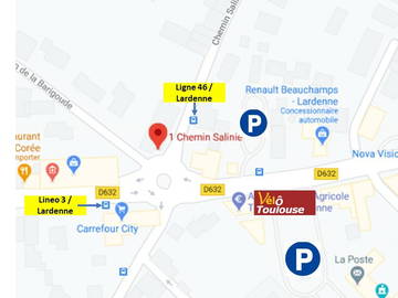 Colocation Toulouse 248871-8