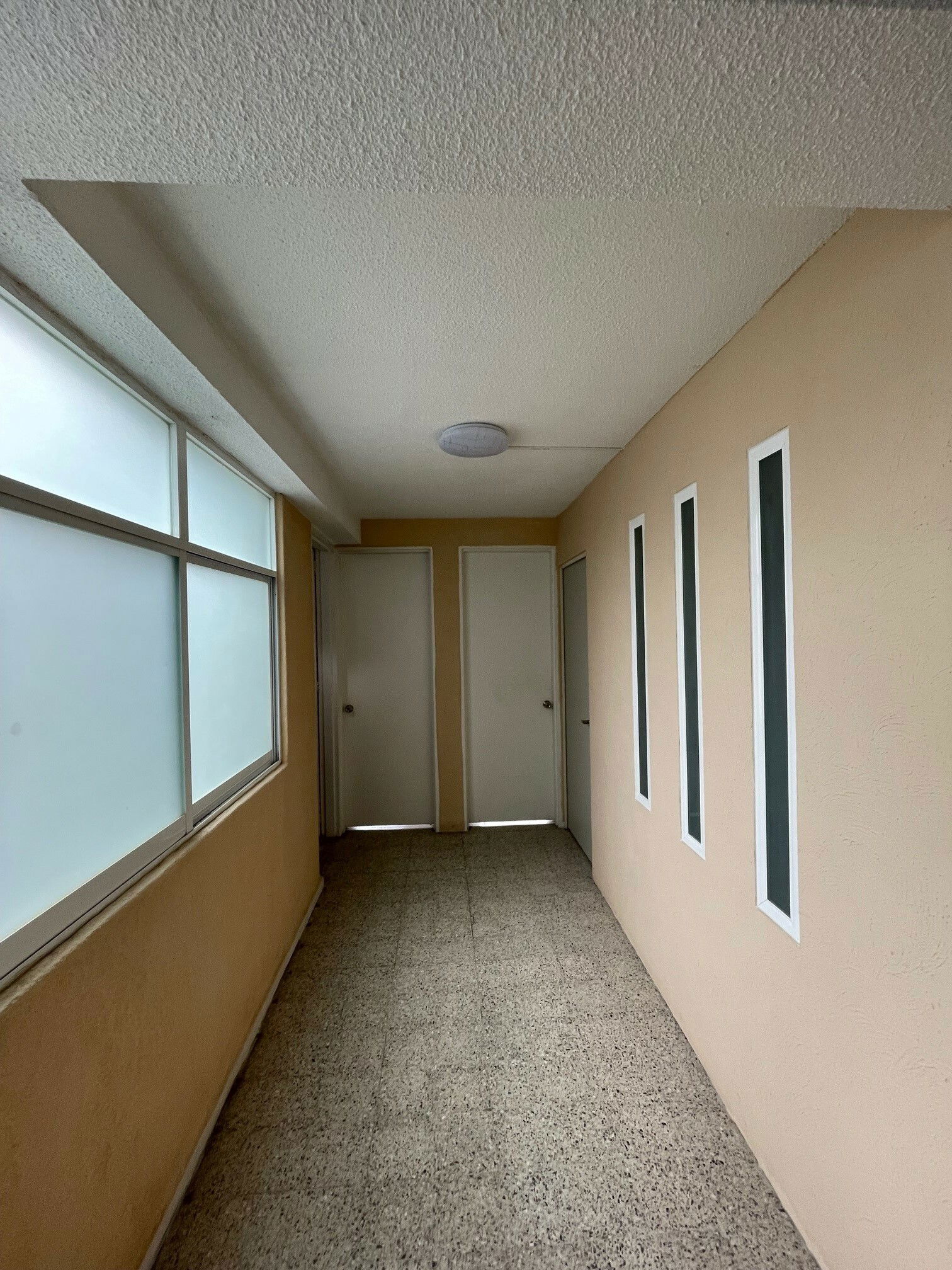 Homestay México D.F. 255925