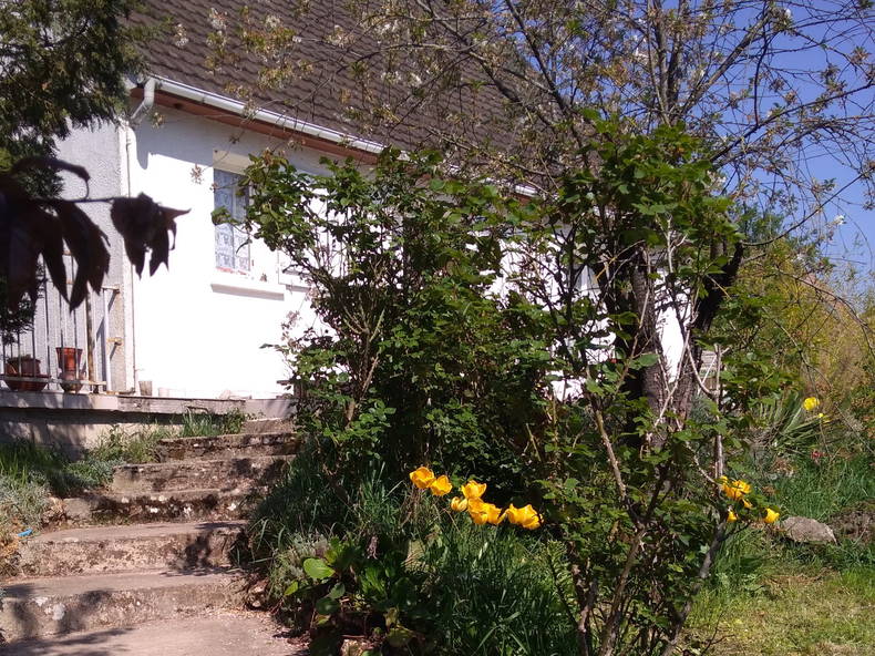 Quedarse En Casa Cocherel 225344-2