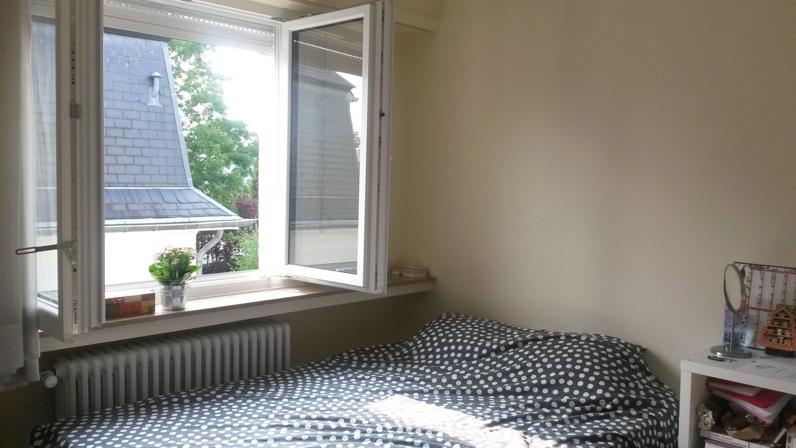 Colocation Luxembourg 111105