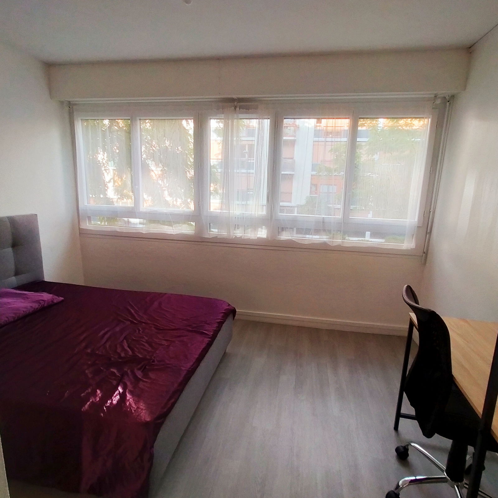 Colocation Tours 278728