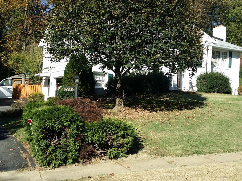 Gastgezin Annandale 150344-3