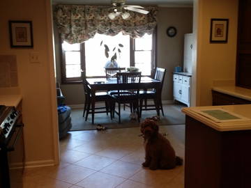 Chambre Chez L'habitant Annandale 150344-4