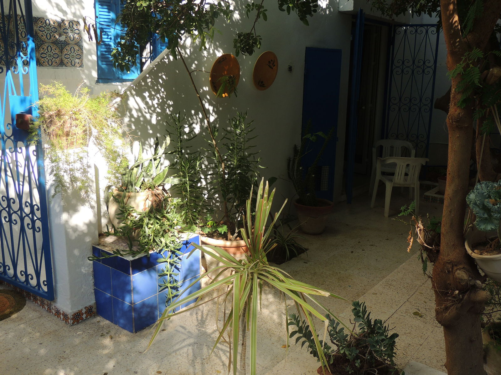 Bed And Breakfast Carthage 145040