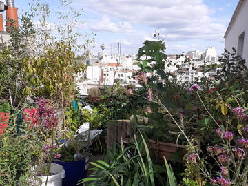 Chambre Chez L'habitant Paris 334914-9