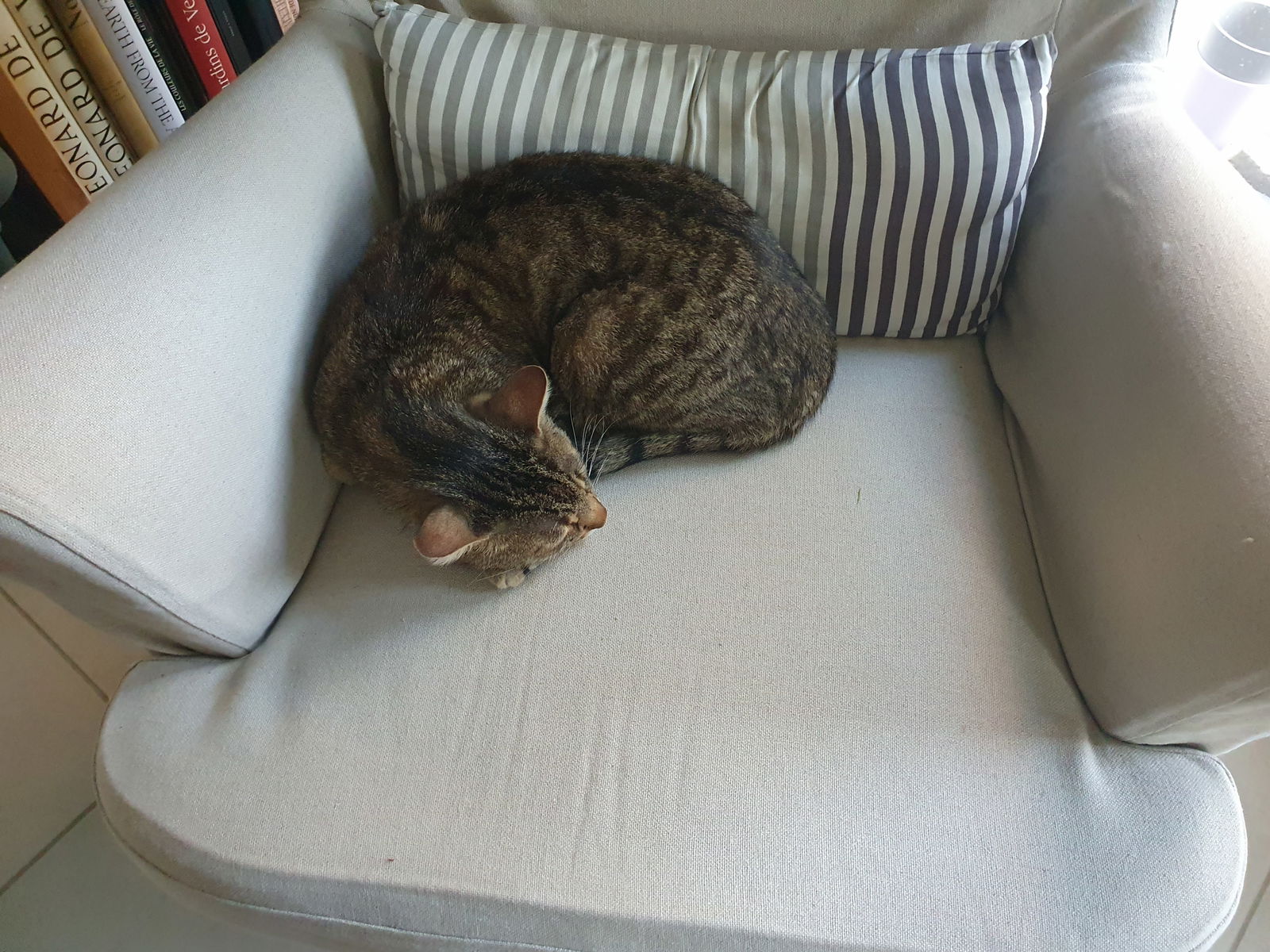 Bed And Breakfast Saint-Malo 281712