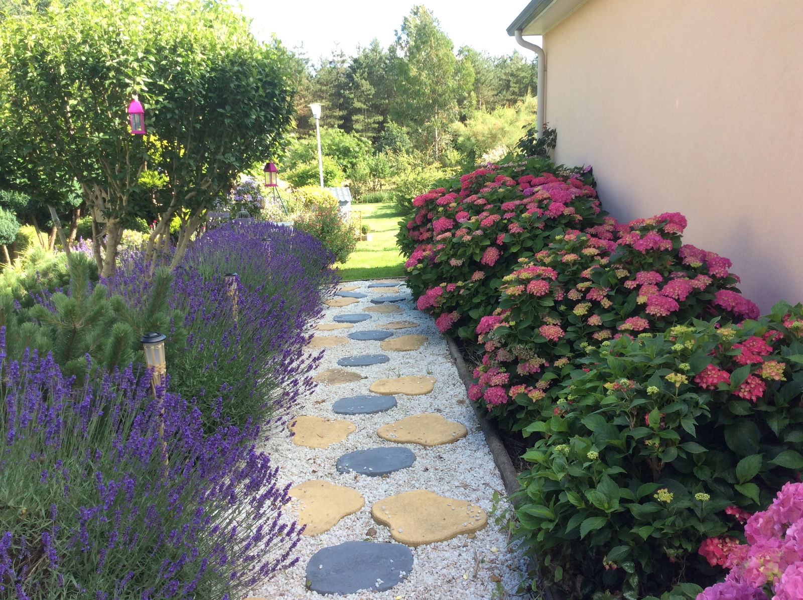 Homestay Moncé-en-Belin 142361