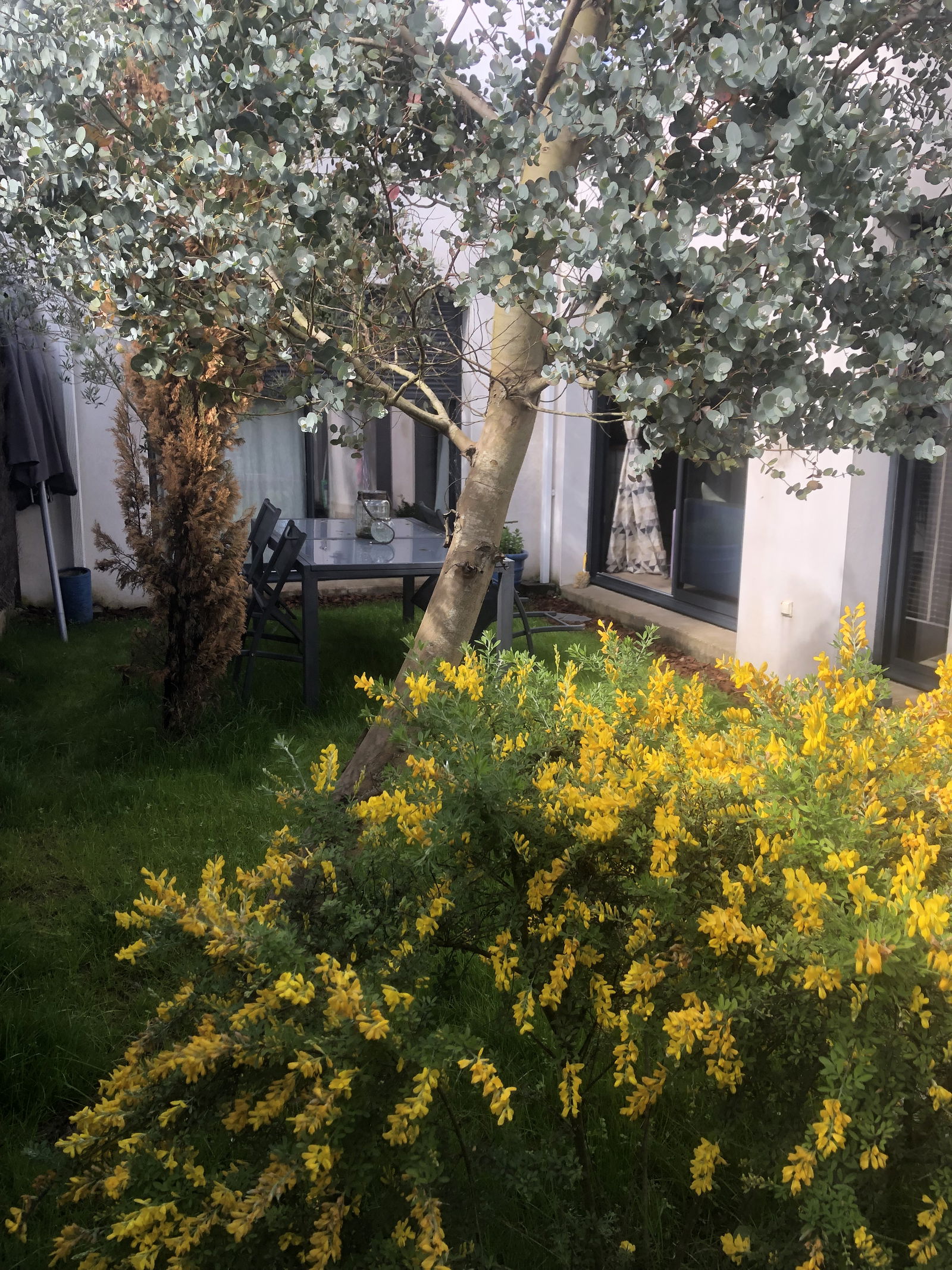 Homestay Saint-Nazaire 265649