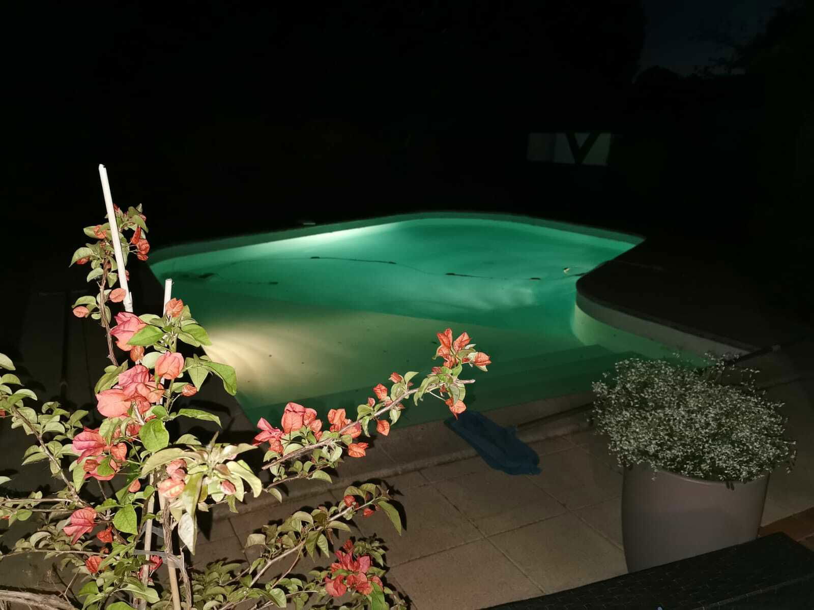 Homestay Bruges 21402