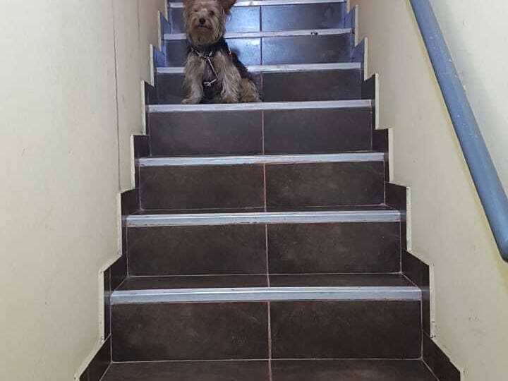 Chambre Chez L'habitant Cercado de Lima 218547-2