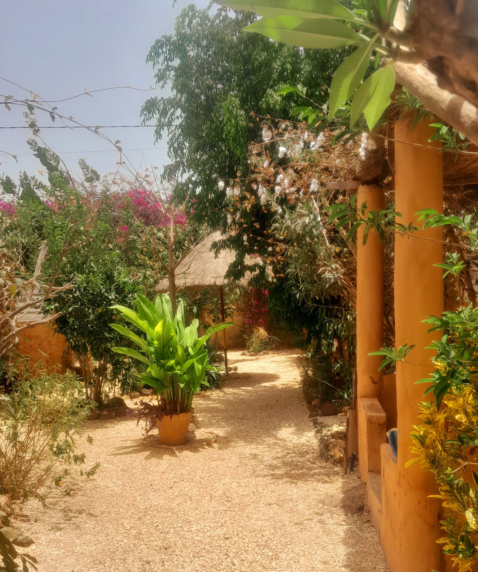 Bed And Breakfast Popenguine 139841