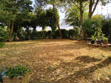 Chambre Chez L'habitant Le Plessis-Grammoire 232956-6