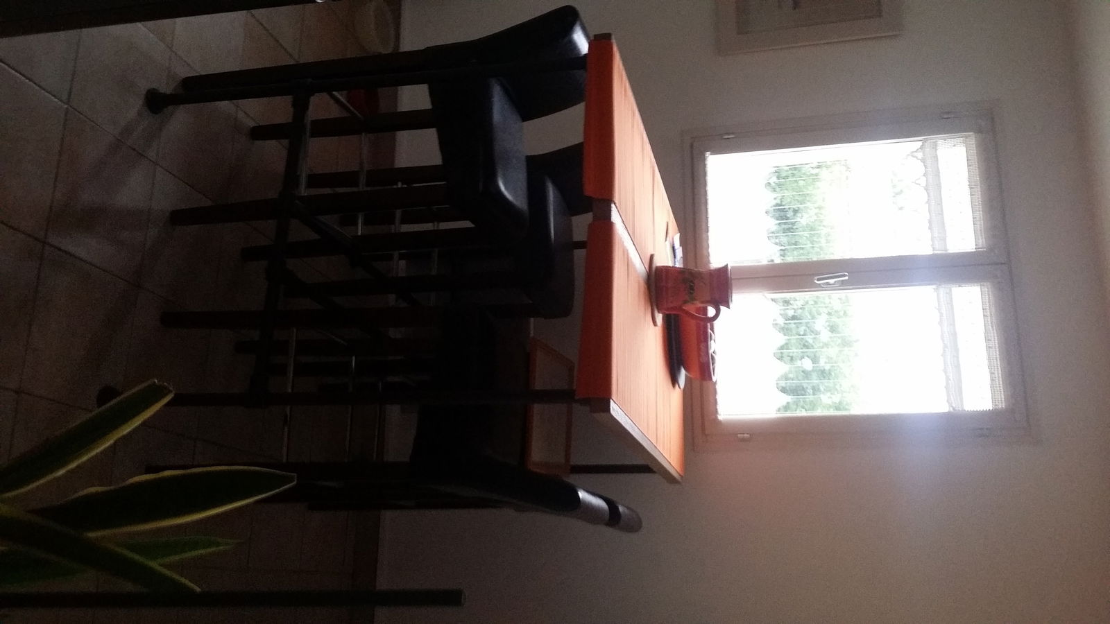 Homestay Avignon 137420