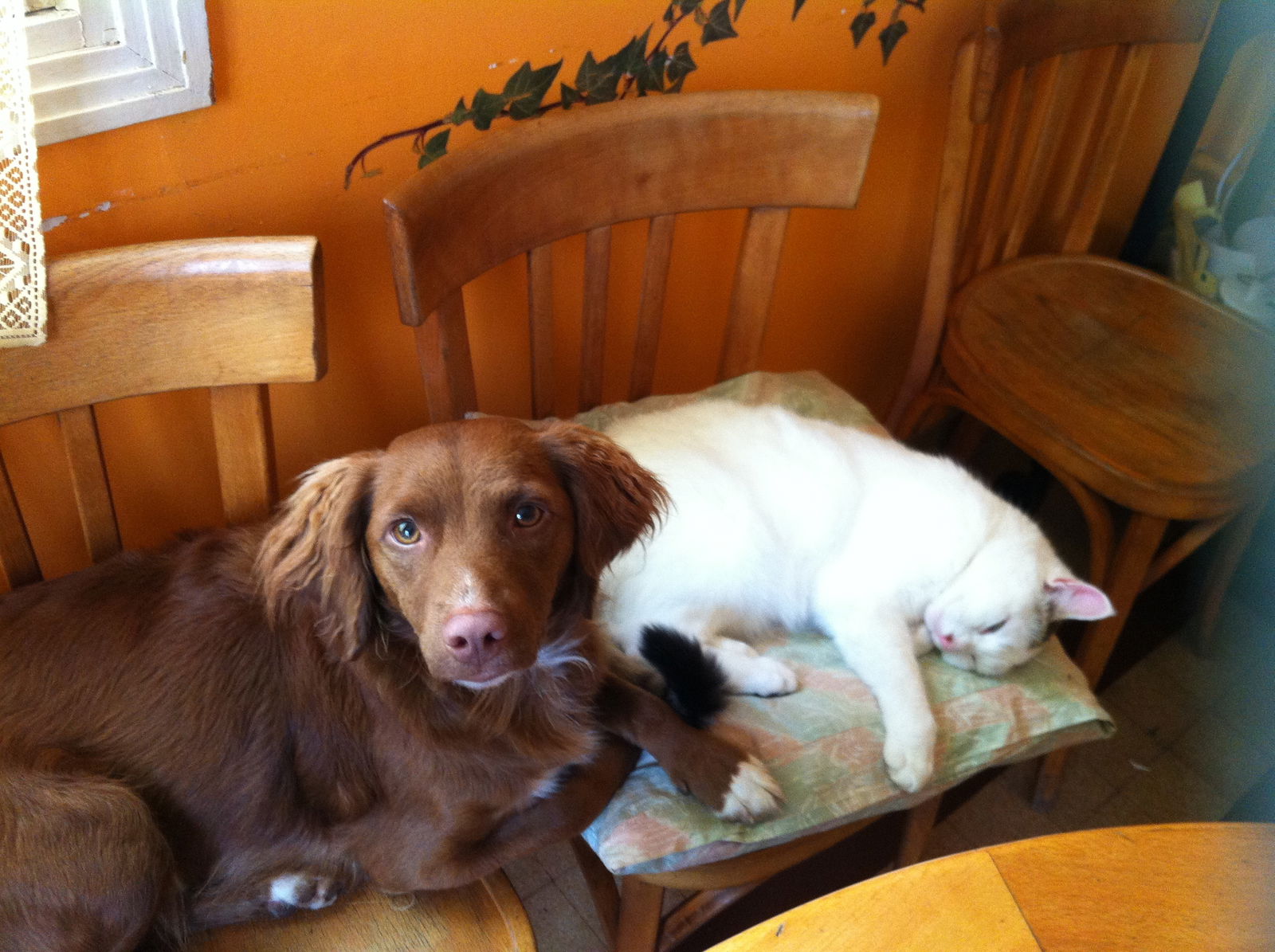 Homestay Besançon 153918