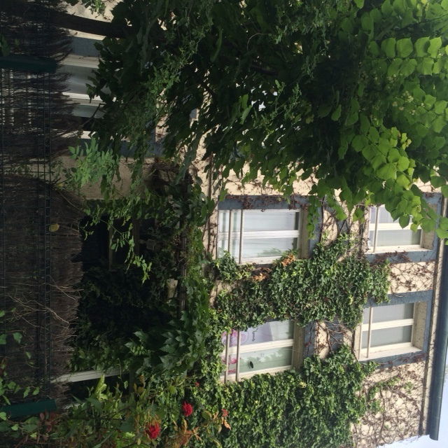 Homestay L'Île-Saint-Denis 139117