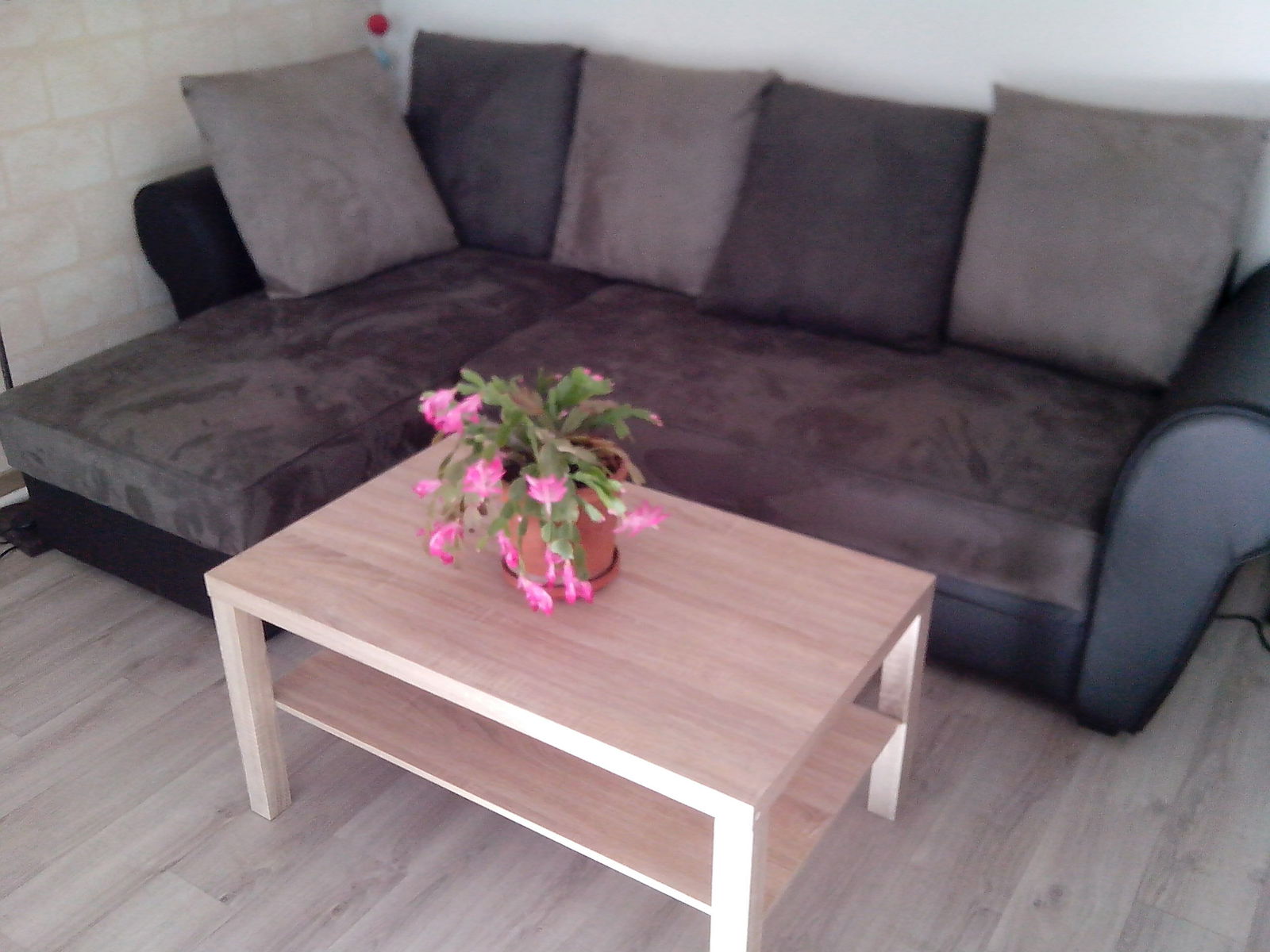 Homestay Bordeaux 141200