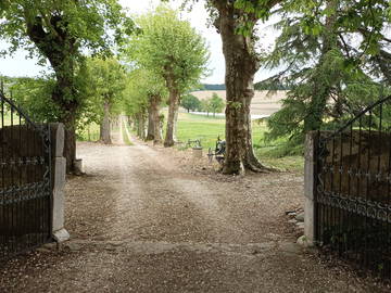 Chambre Chez L'habitant Castaignos-Souslens 387175-5
