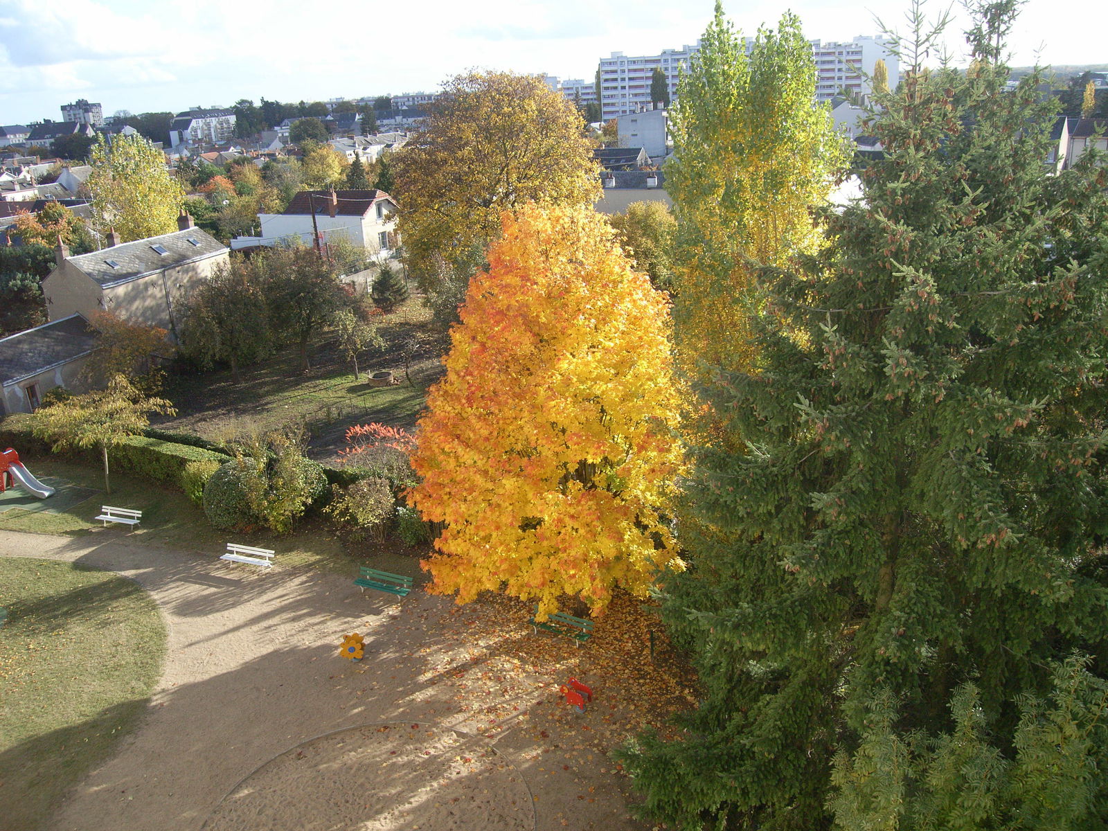 Homestay Orléans 116957