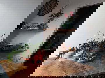 Colocation Le Havre 266240-5