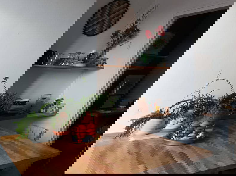 Colocation Le Havre 266240-5