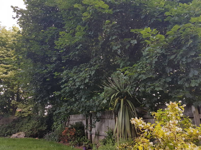 Logement Entier Woodville 224330-5