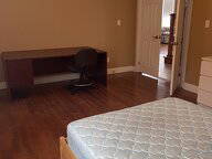 Coliving Kitchener 662482-13