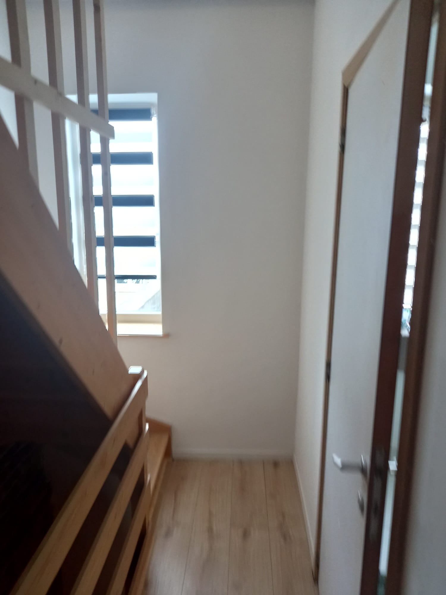 Homestay Sint-Pieters-Leeuw 307743