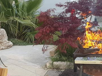 Chambre Chez L'habitant Roquemaure 217739-6