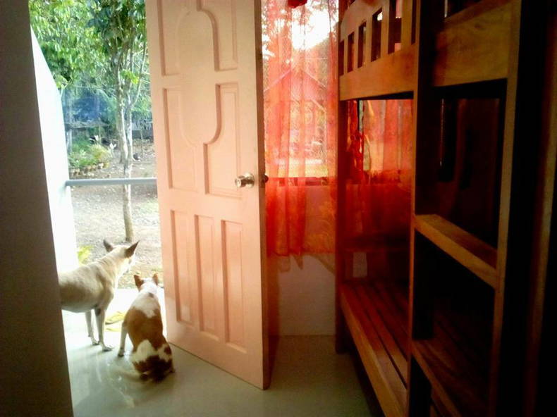 Gastfamilie Kidapawan City 124958-4