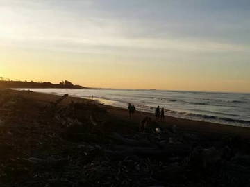 Chambre D'hôte Waitara 125138-4