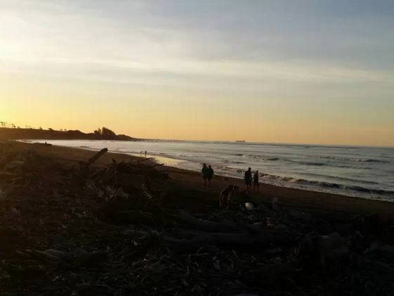 Gästezimmer Waitara 125138-4