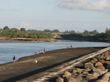 Chambre D'hôte Waitara 125138-6