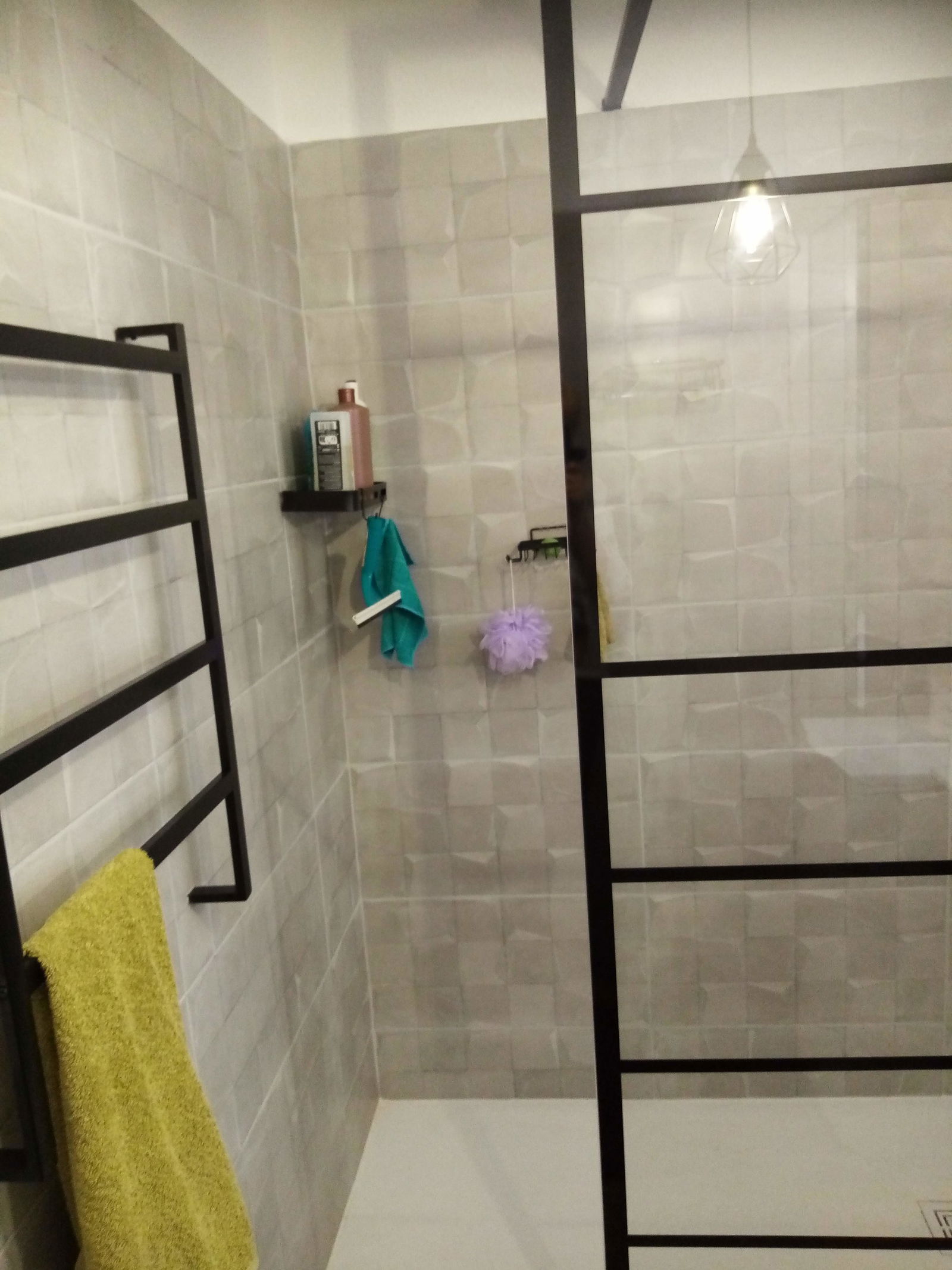 Homestay Saint-Martin-d'Hères 209976