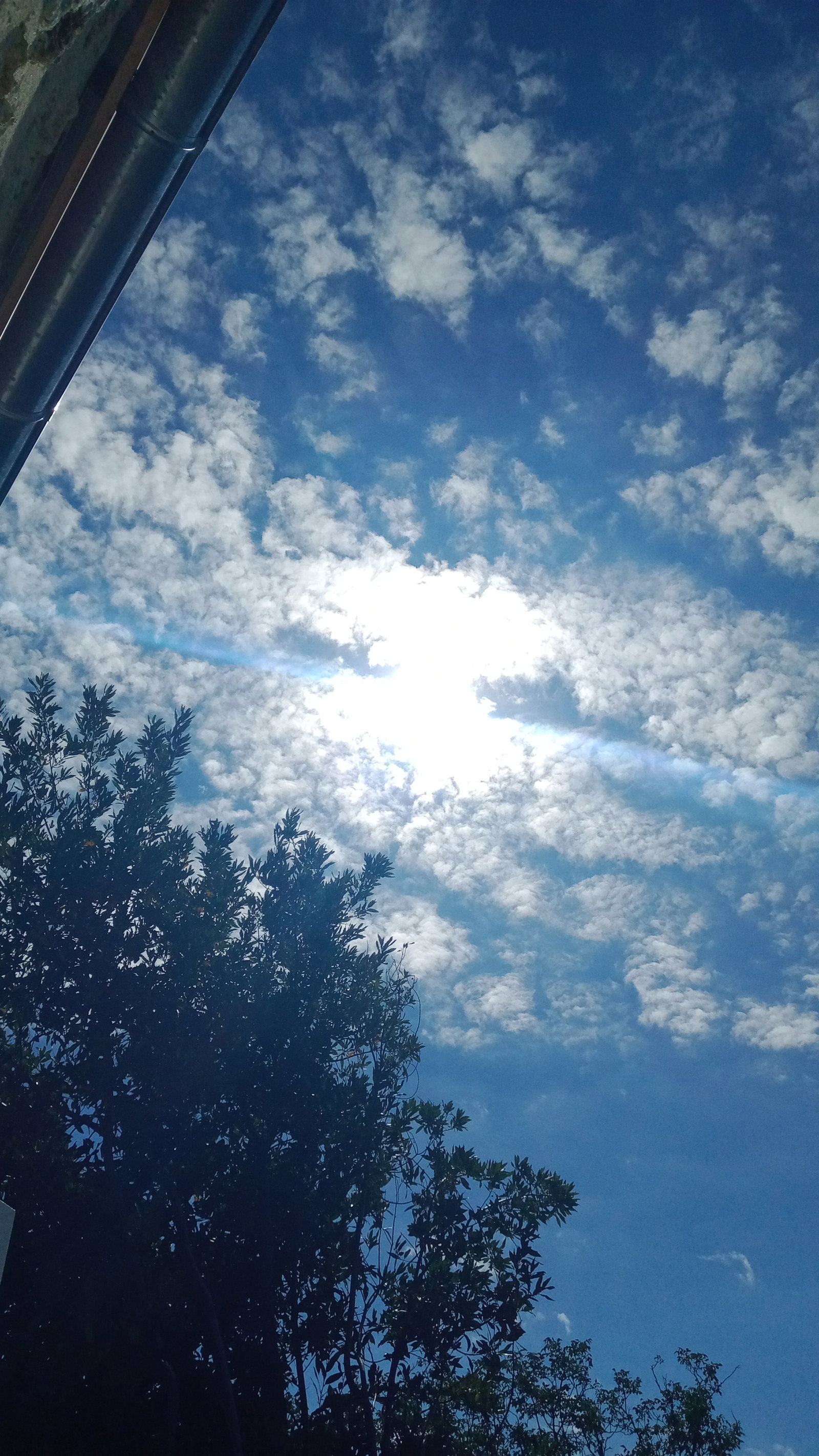 Homestay Jouy-sur-Morin 278072