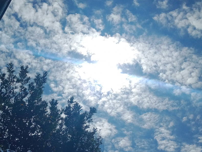 Chambre Chez L'habitant Jouy-sur-Morin 278072-5