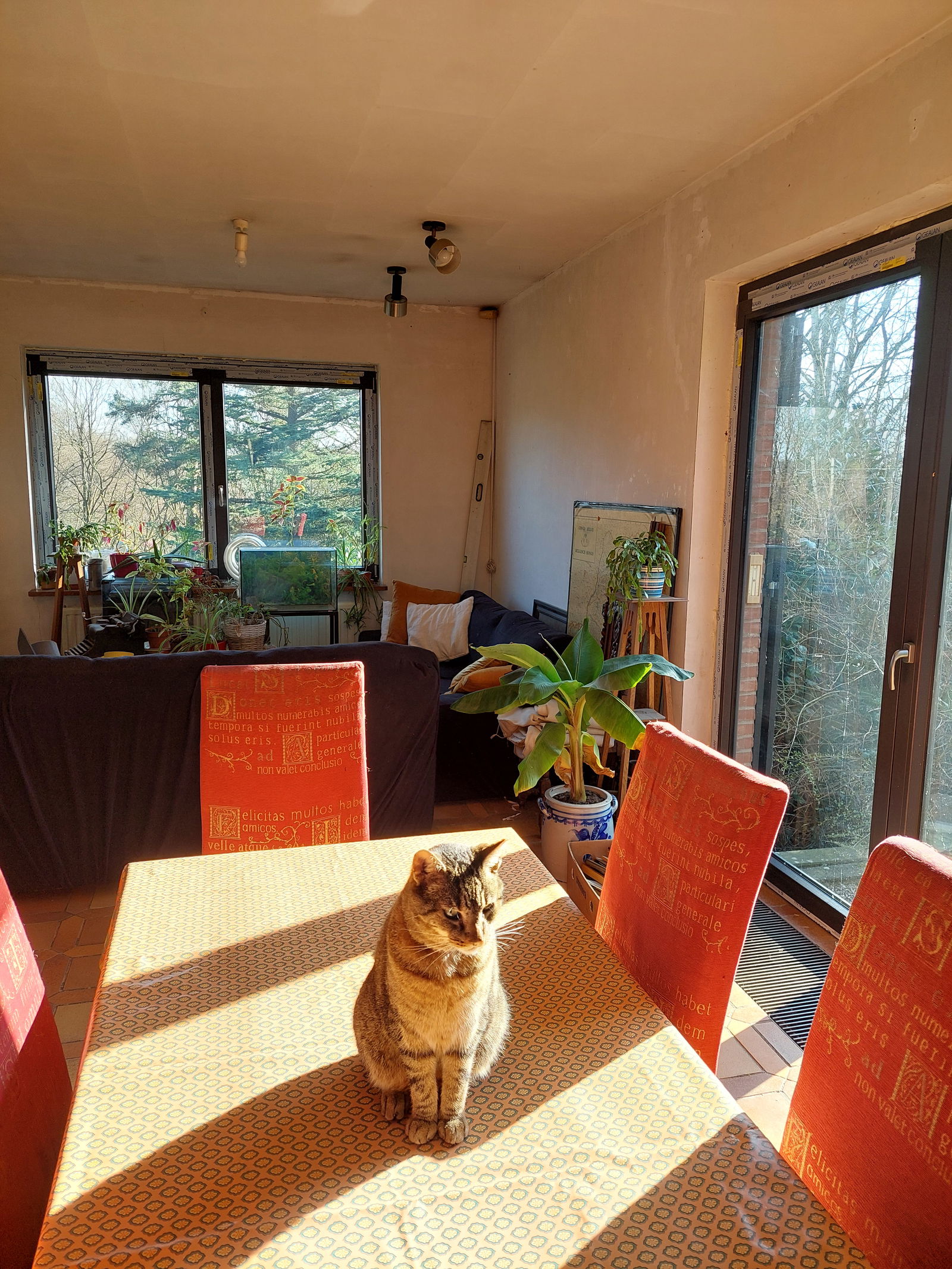 Homestay Fléron 447963