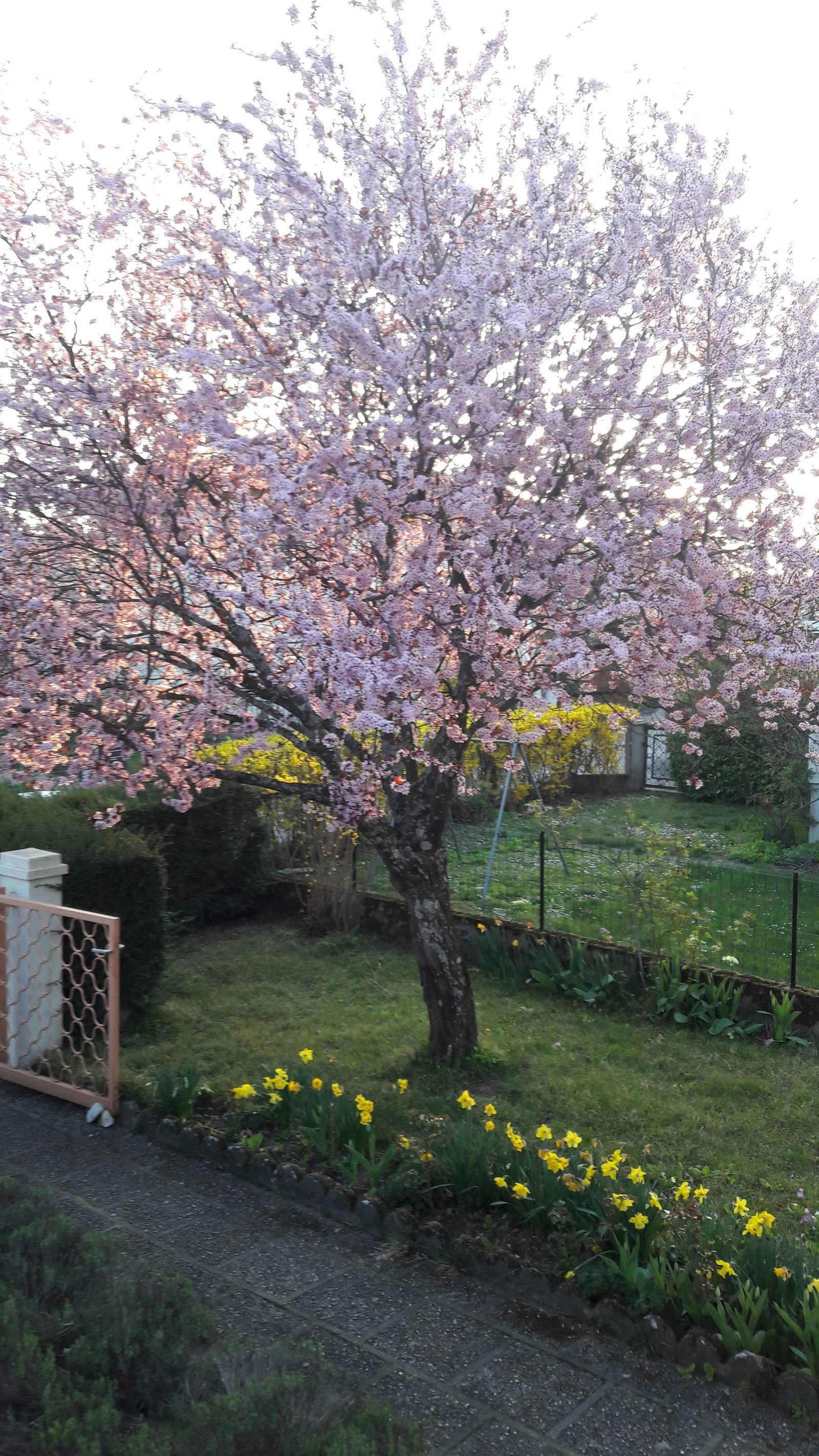 Homestay Gaillard 258817