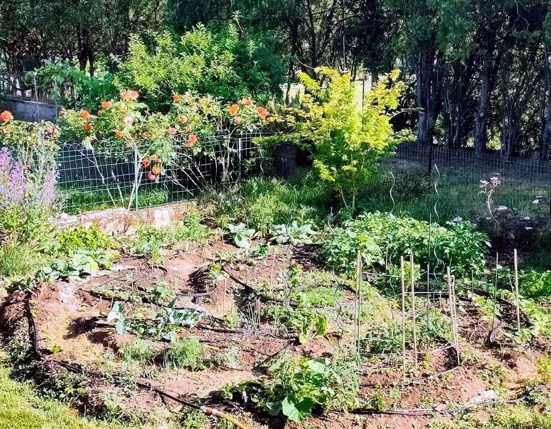 Homestay Gaillard 258817