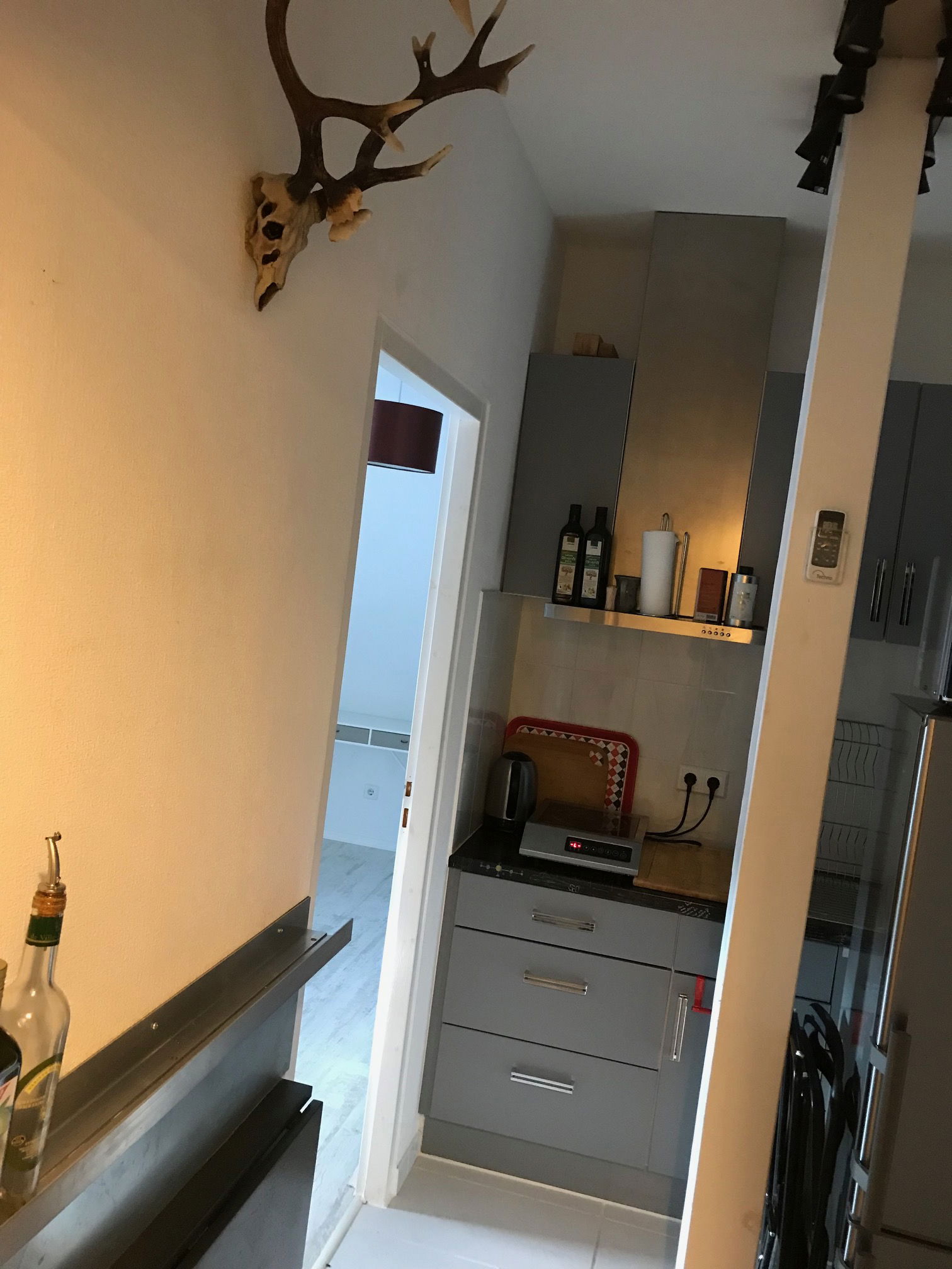 Colocation Willstätt 449887