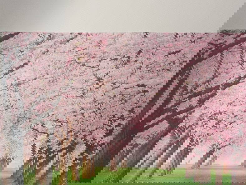 Quedarse En Casa Cerbère 387219-2