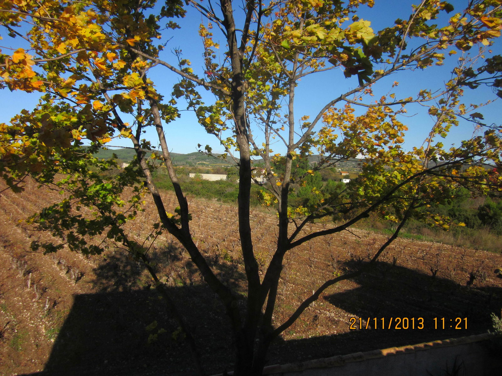 Homestay Vic-la-Gardiole 85326