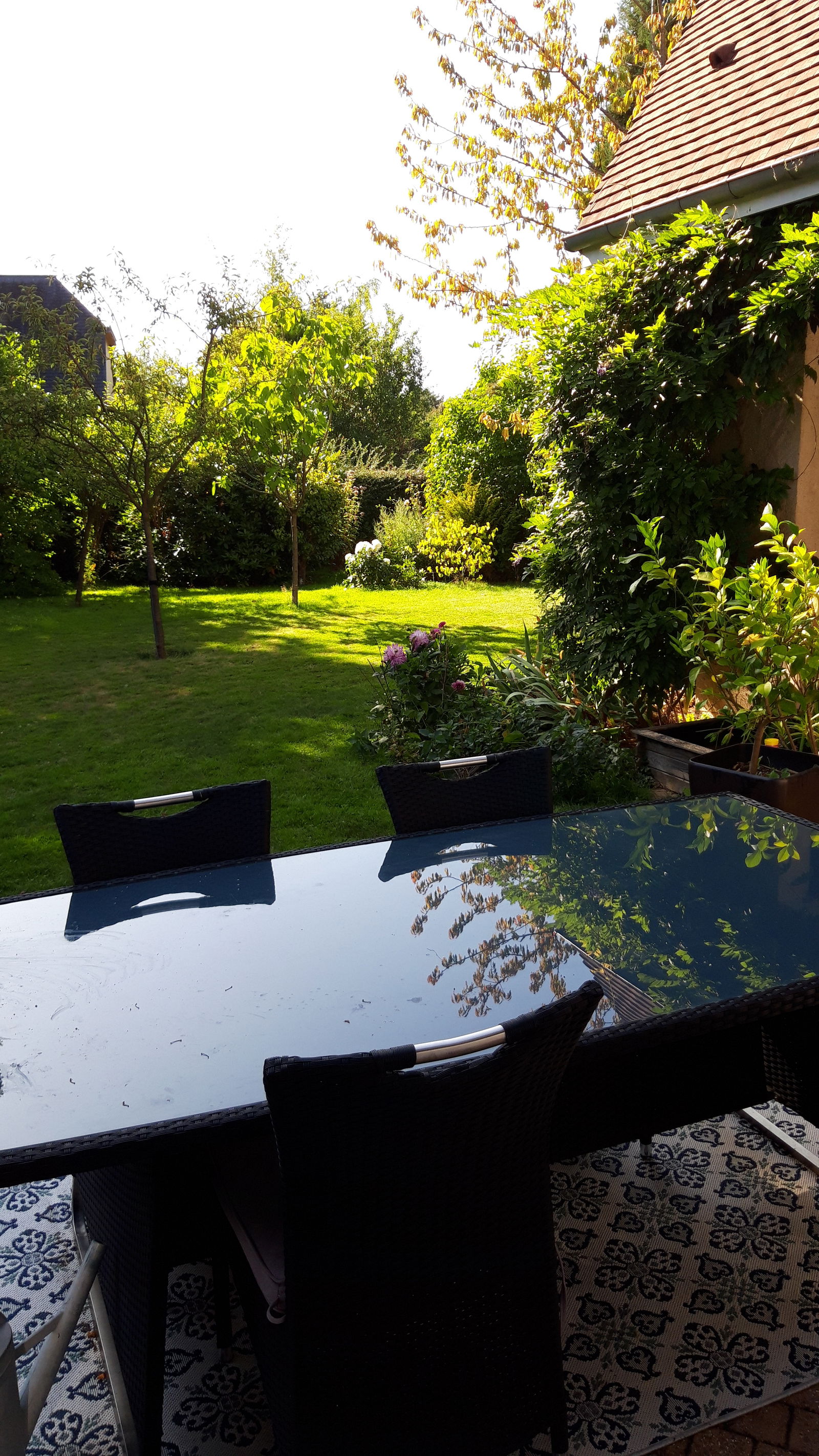 Homestay Saint Martin du Vivier 229975