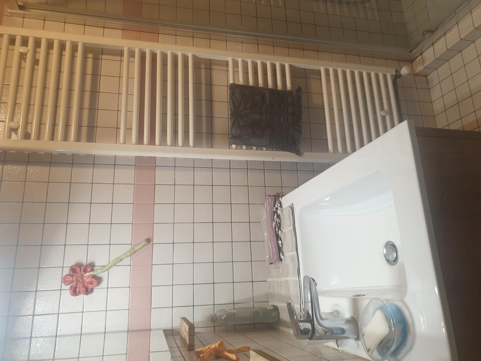 Homestay La Tour-en-Jarez 301652