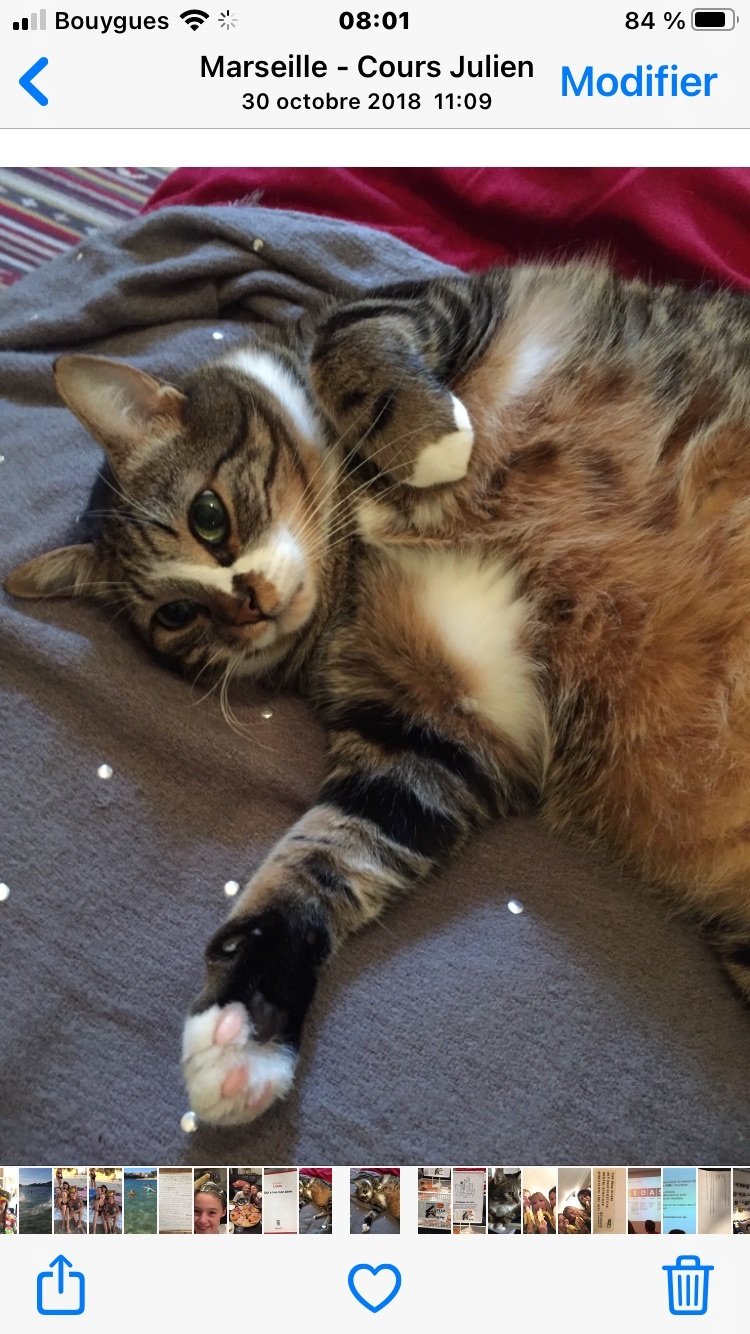 Homestay Marseille 253856