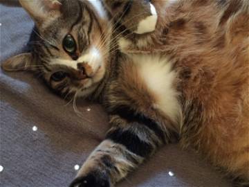 Homestay Marseille 253856-7